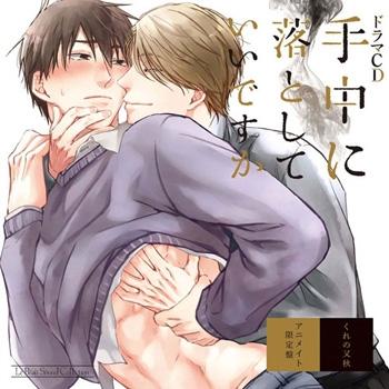 (Drama CD) Shuchuu ni Otoshite Ii desu ka [animate Limited Edition]