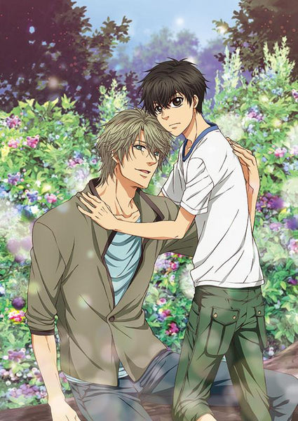 (DVD) SUPER LOVERS 2 Vol.1 [w/ CD, Limited Edition]