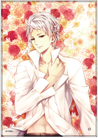 (Goods) Midnight Cinderella Acrylic Plate (Leo) Blossoming Boyfriends ver.