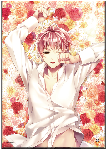 (Goods) Midnight Cinderella Acrylic Plate (Nico) Blossoming Boyfriends ver.