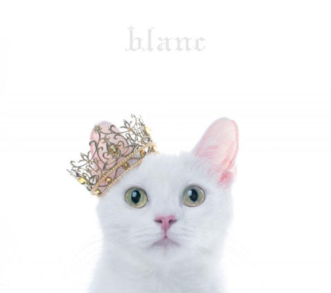 (Album) BEST SELECTION "blanc" by Aimer [w/ DVD, Limited Edition / Type B]
