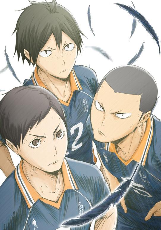 (DVD) Haikyu!! Karasuno High School vs Shiratorizawa Academy TV Series Vol. 4 [First-run Limited Edition]