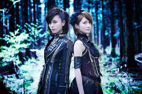 (Maxi Single) Boukyaku no Saint by +A