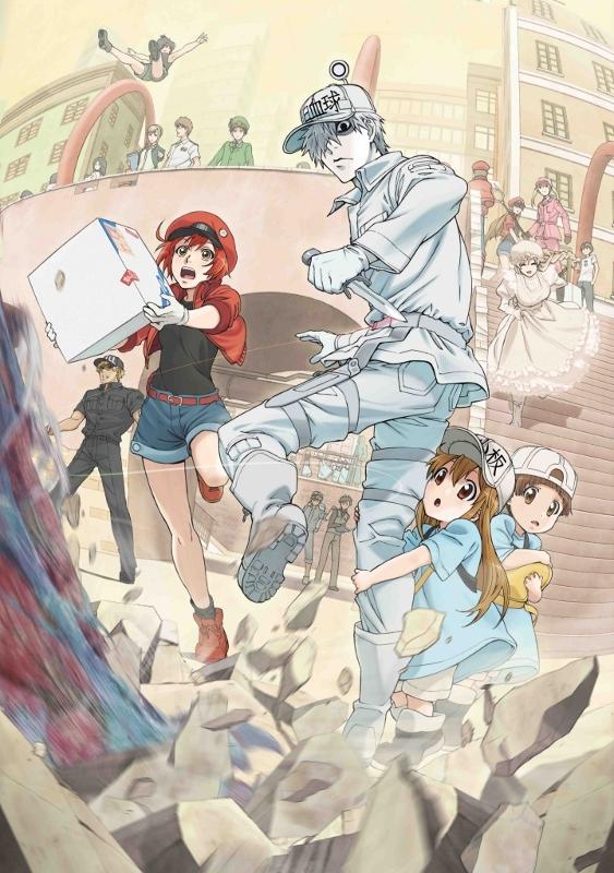 (Blu-ray) Cells at Work! TV Series Vol. 5 [Complete Production Run Limited Edition]